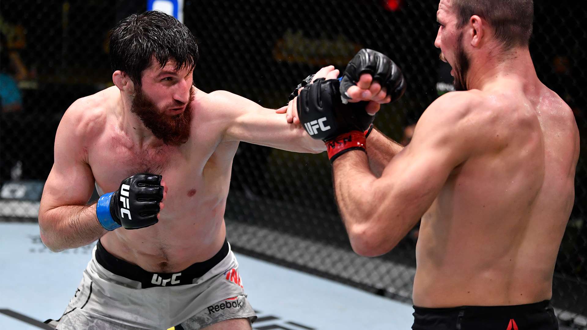 旨在形成更 旨在形成更