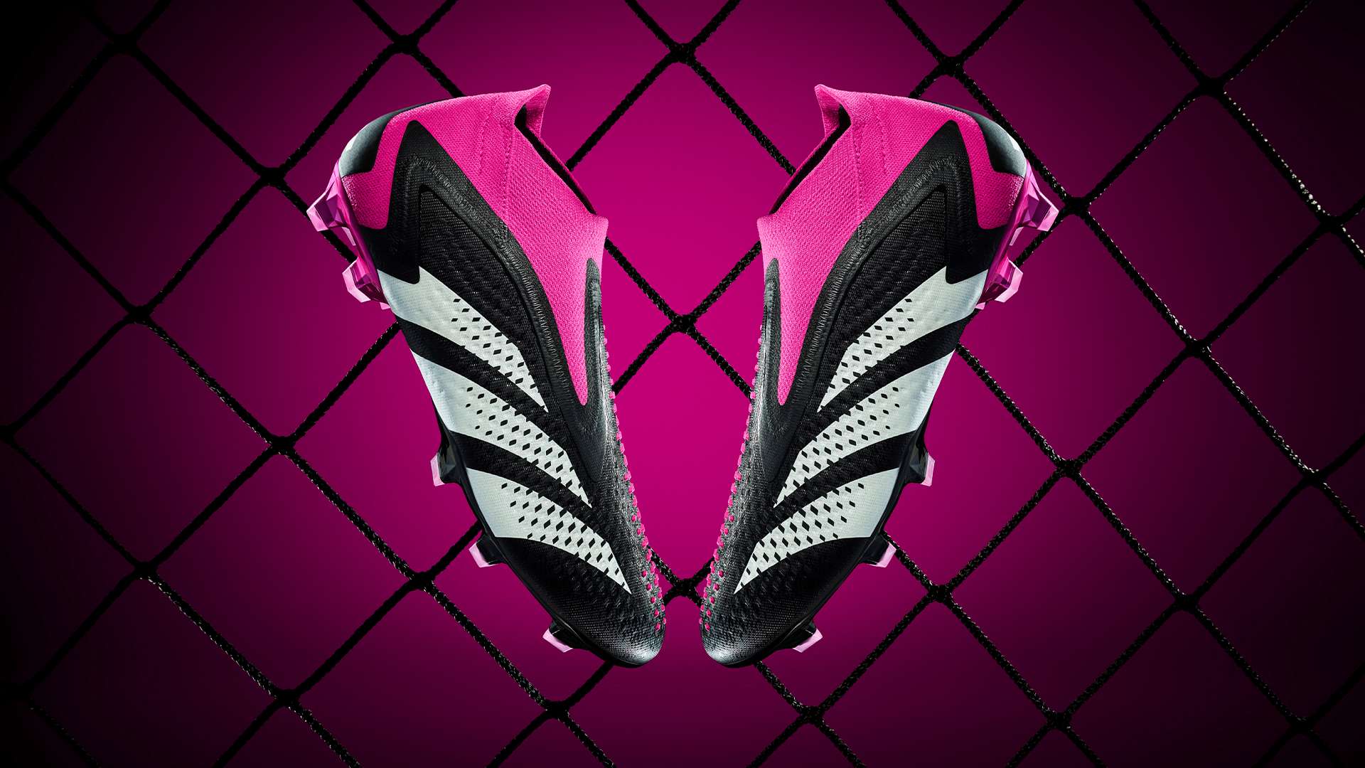 包括增强身 包括增强身